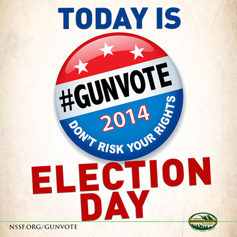 2014 Election November Gunvote