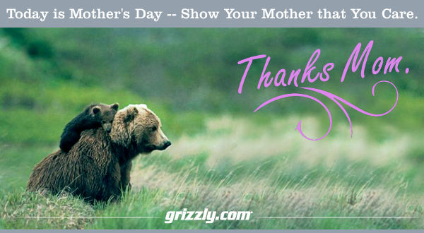 Mothers' day mother's holiday grizzly video